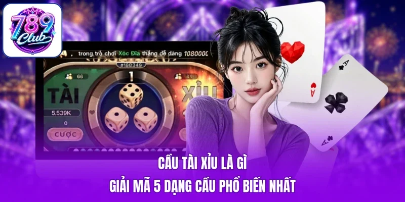 Cầu Tài Xỉu Là Gì - Giải Mã 5 Dạng Cầu Phổ Biến Nhất
