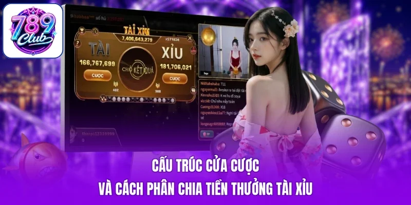 Cấu trúc cửa cược và cách phân chia tiền thưởng Tài Xỉu