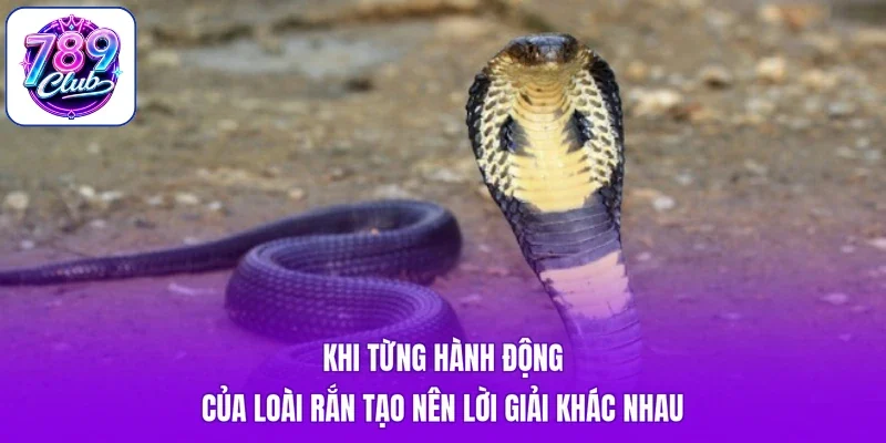 Khi từng hành động của loài rắn tạo nên lời giải khác nhau