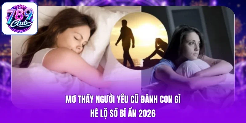 Mơ Thấy Người Yêu Cũ Đánh Con Gì - Hé Lộ Số Bí Ẩn 2026