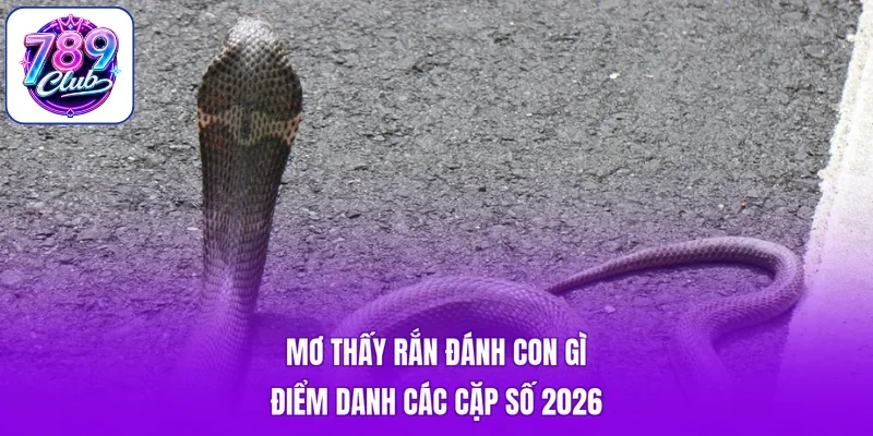 Mơ Thấy Rắn Đánh Con Gì - Điểm Danh Các Cặp Số 2026