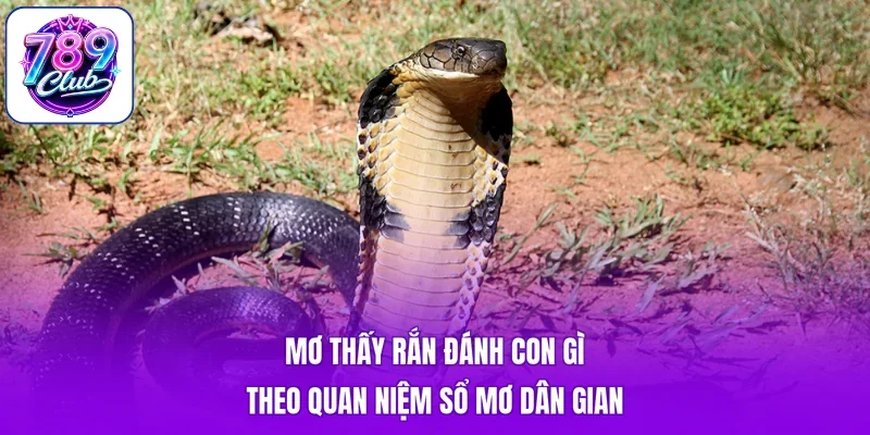 Mơ thấy rắn đánh con gì theo quan niệm sổ mơ dân gian