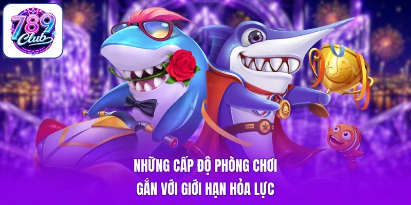 Những cấp độ phòng chơi gắn với giới hạn hỏa lực