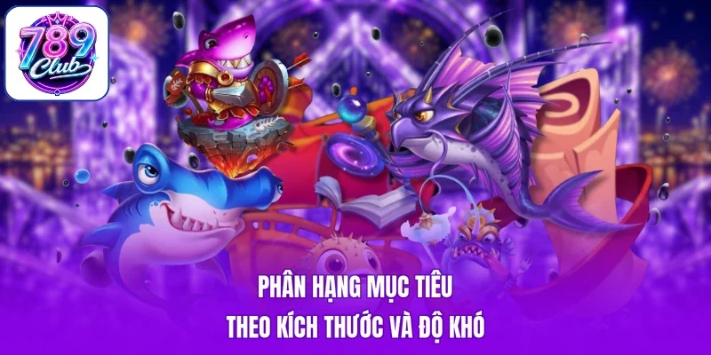 Phân hạng mục tiêu theo kích thước và độ khó